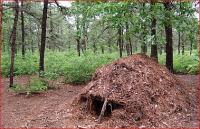 hutte