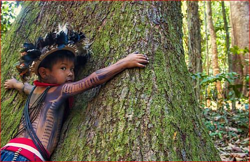 arbre et enfant