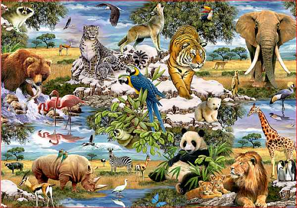 animaux