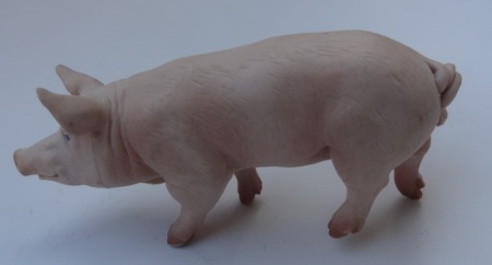 Big Pig