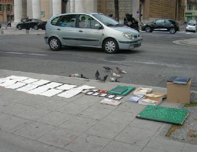 les pigeons