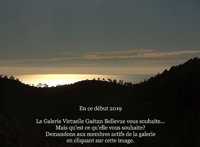 voeux 2019 1