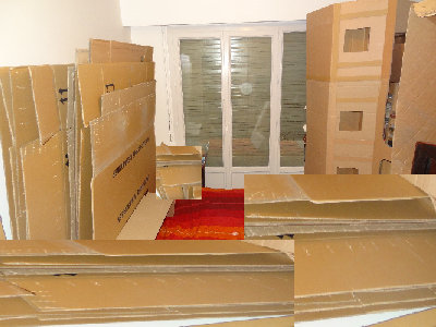 carton baz 3b