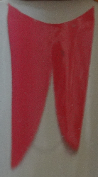 41e