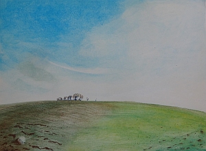 Huile