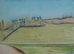 Huile d'olive Hors série