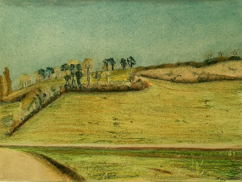 Huile d'olive